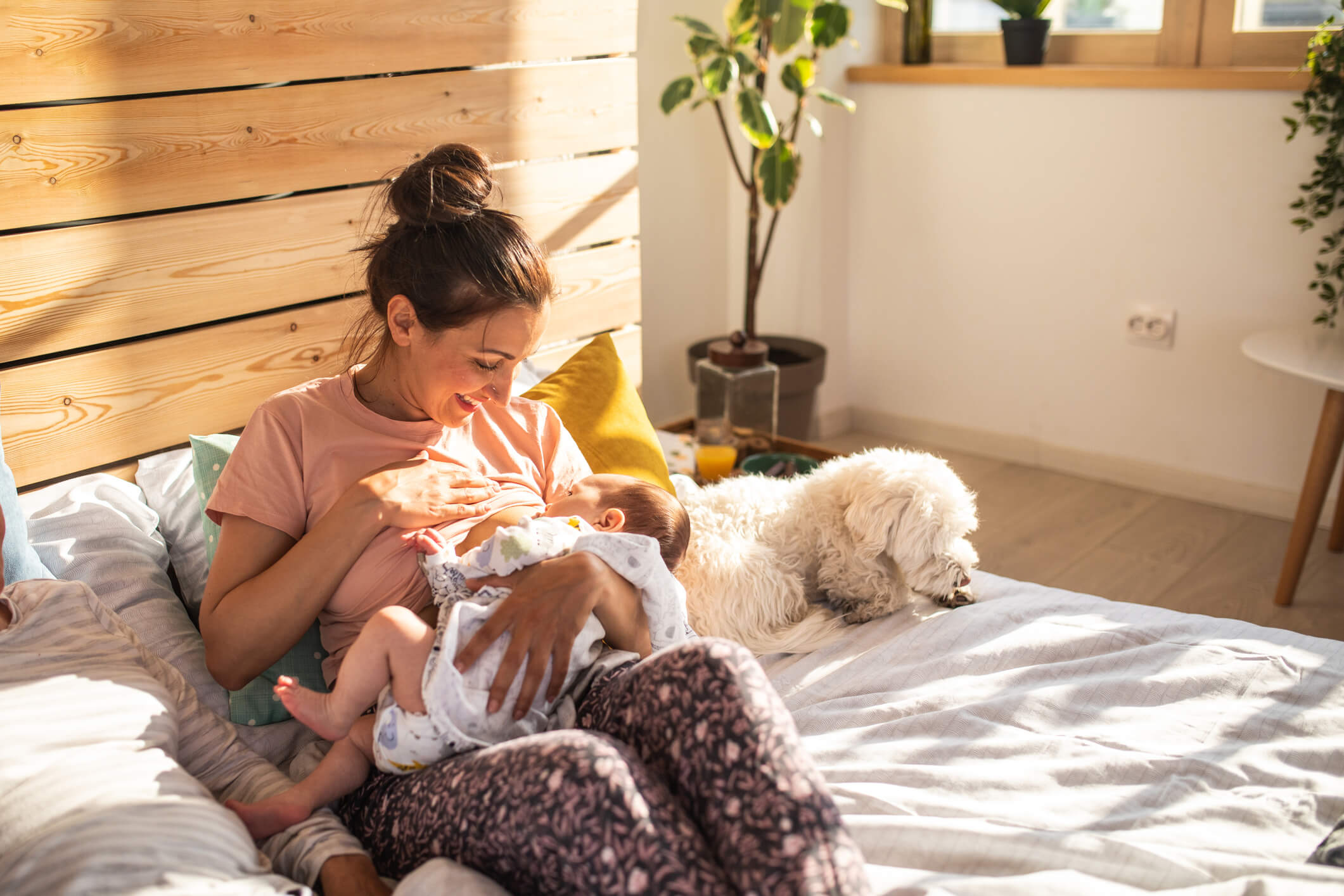 como amamentar - mãe amamentando bebê